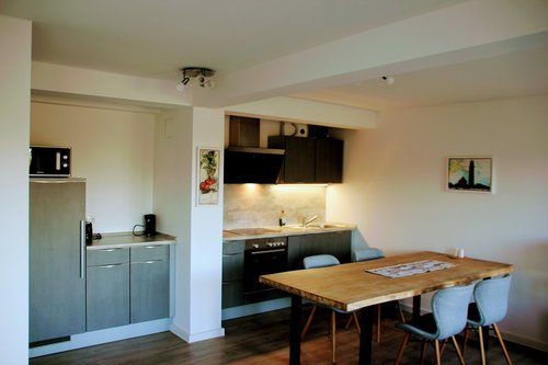 Blick in die modern eingerichtete Küche - Appartement G44 Prora