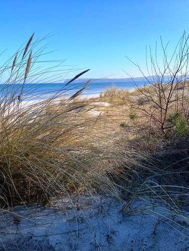 Blick durch das Gras in Richtung Strand auf die Ostsee